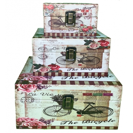 Kit com 3 Caixas Organizadoras Bicicletas 11007 Bela Flor