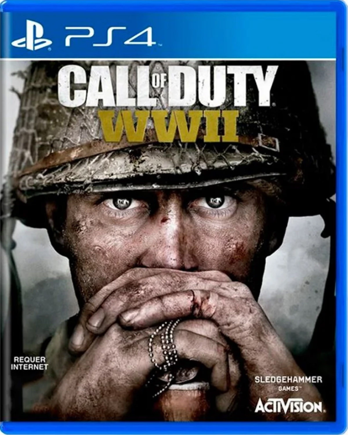 Call of Duty WW 2 - Ps4 Mídia Física Usado