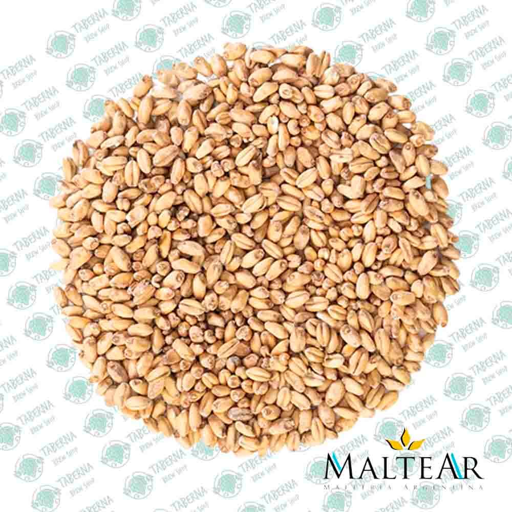 Malte Wheat - MalteAR - 1Kg