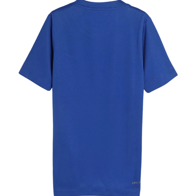 Camiseta Nike Dry Trophy SS Top Infantil - Azul