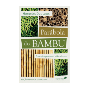 Parábola do bambu - Foto 2