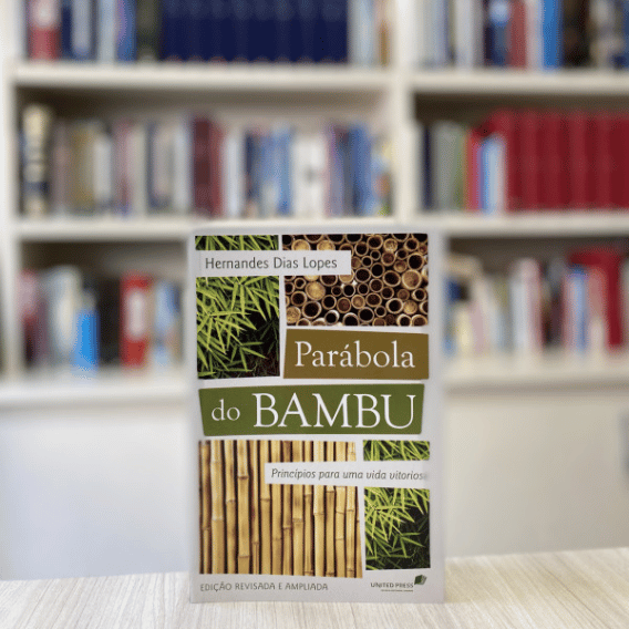 Parábola do bambu - Foto 1