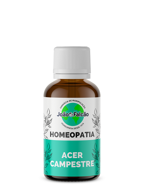 Acer campestre - Homeopatia  - FARMACIA JOÃO FALCÃO