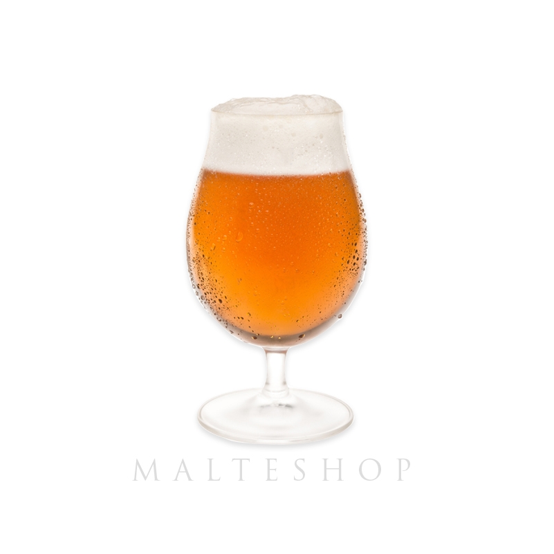 Kit Insumos Belgian Pale Ale,  10 Litros (BIAB)