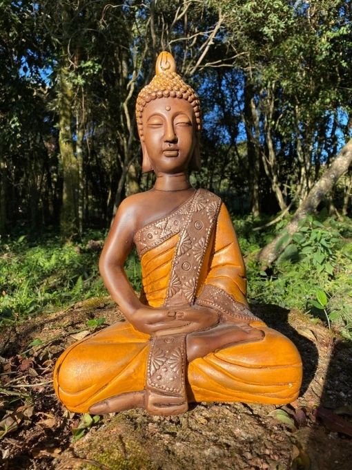 Buda Meditando (Médio)