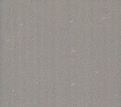 Papel de Parede Colorkey - Col1038  Cinza - Rolo Fechado de 53cm x 10Mts -