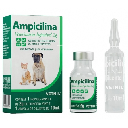Ampicilina Veterinária Injetável 2g
