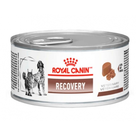Ração Úmida Royal Canin Lata Veterinary Diet Recovery para Cães e Gatos