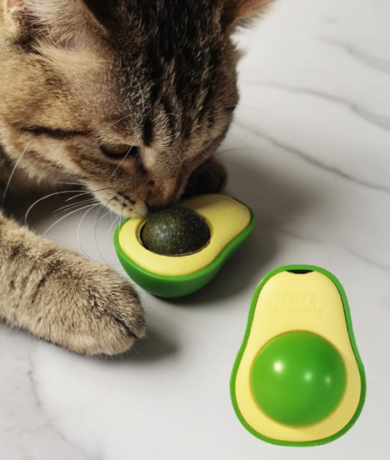 Brinquedo Abacate Para Gatos Catnip Ervas Naturais Chalesco