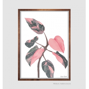 Print Fine Art A2 - Philodendron - Artista Isabela Quintes