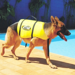 Colete Salva Vidas Para Cachorro Amarelo - TAM. G 18 a 36kg - Ativa Náutica