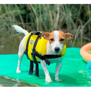 Colete Salva Vidas Para Cachorro Amarelo - TAM. P 5 a 9kg - Ativa Náutica