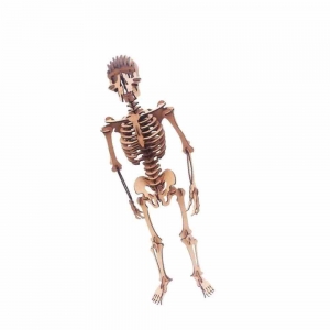 Quebra-Cabeça 3D - Esqueleto Humano - 115 peças - Pasiani