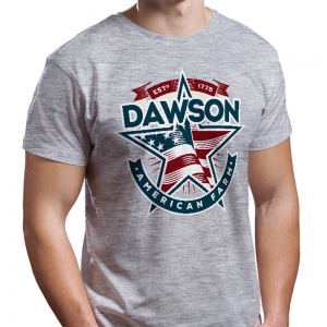 Camiseta Country Masculina Estrela Texas Cinza Dawson