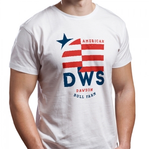 Camiseta Country Texas Dawson