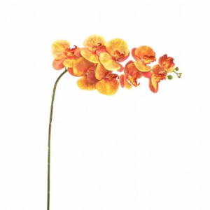 Orquídea Essencial Toque Real (9 flores amarela)