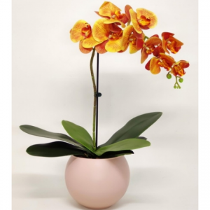 Orquídea Essencial Toque Real (9 flores amarela)