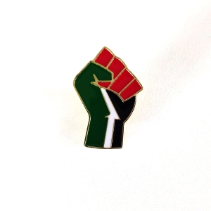 Kit Camiseta Palestina + Pin