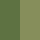 Bicolor verde