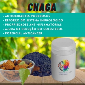 Cogumelo Chaga (Inonotus Obliquus) -   50 Cápsulas de 400 mg