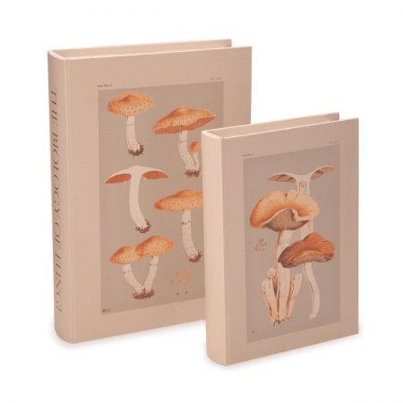 Kit livro caixa the Biology of fungi