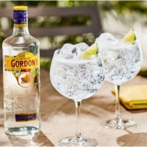 Gin Gordons London Dry 750ml