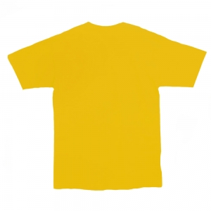 Camiseta AAA Basic HLWD'Z  - gold