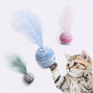 Brinquedo de Pena para Gatos. Diversão Garantida 