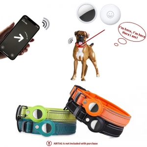Colar protetor com tag rastreador para cachorros, segurança para seu pet.  
