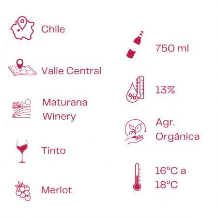 Vinho Orgânico Tinto Guardian De Los Vinedos - Merlot, 2022