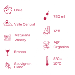 Vinho Orgânico Branco Guardian De Los Vinedos - Sauvignon Blanc, 2022