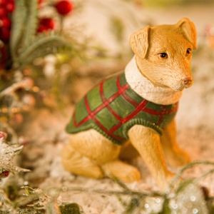 Mini Cachorro com Roupa de Natal