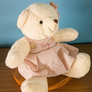 Ursa de Pelúcia com Vestido Rosa - Personalizado