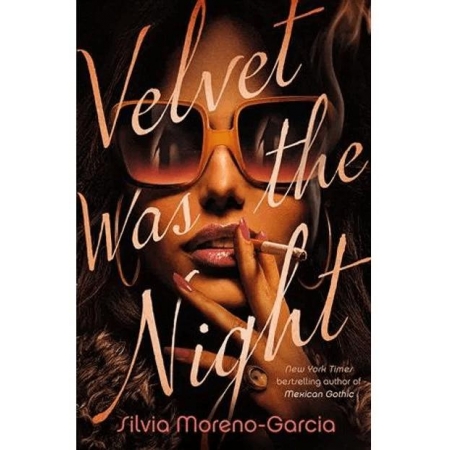 Velvet Was The Night A Novel