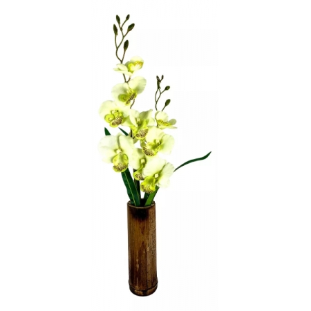 Orquideas + Vaso Bambu