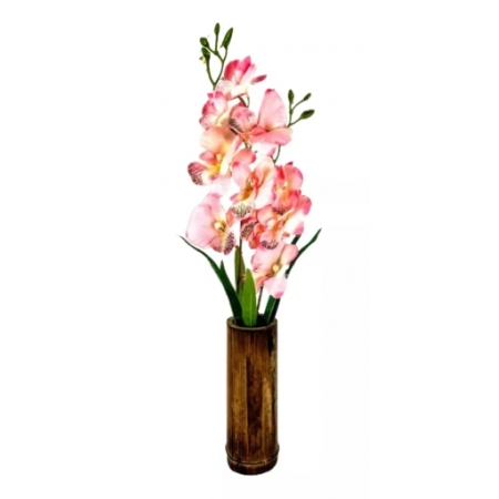 Orquideas + Vaso Bambu