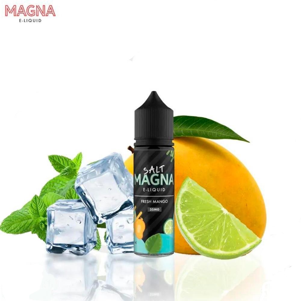 Magna Nic Salt 30ml - 35mg Fresh mango Mint
