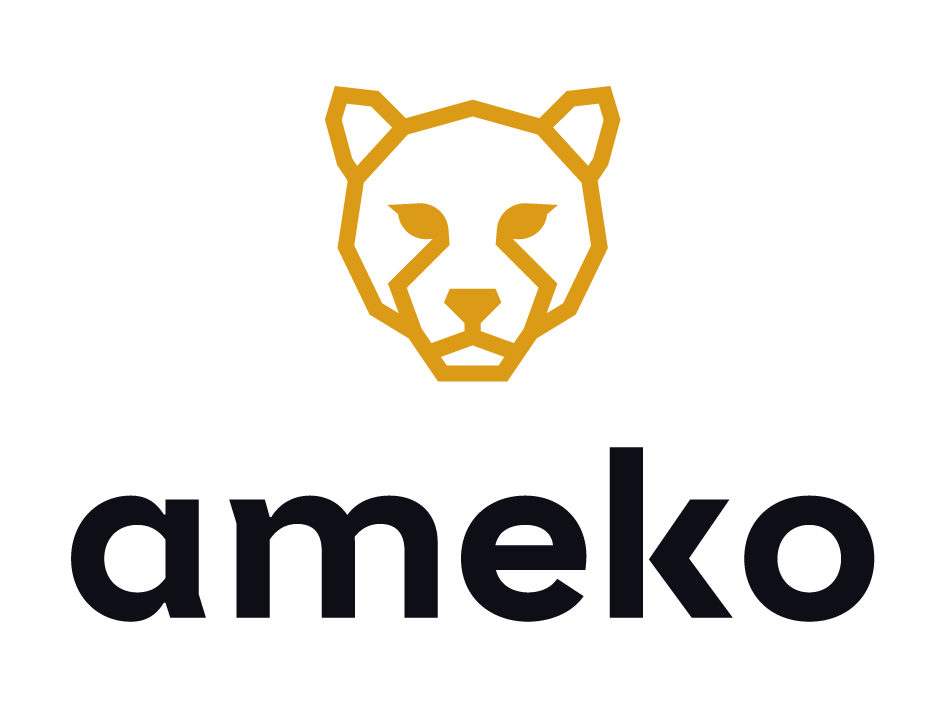 Ameko Fabrica de Tecnologia