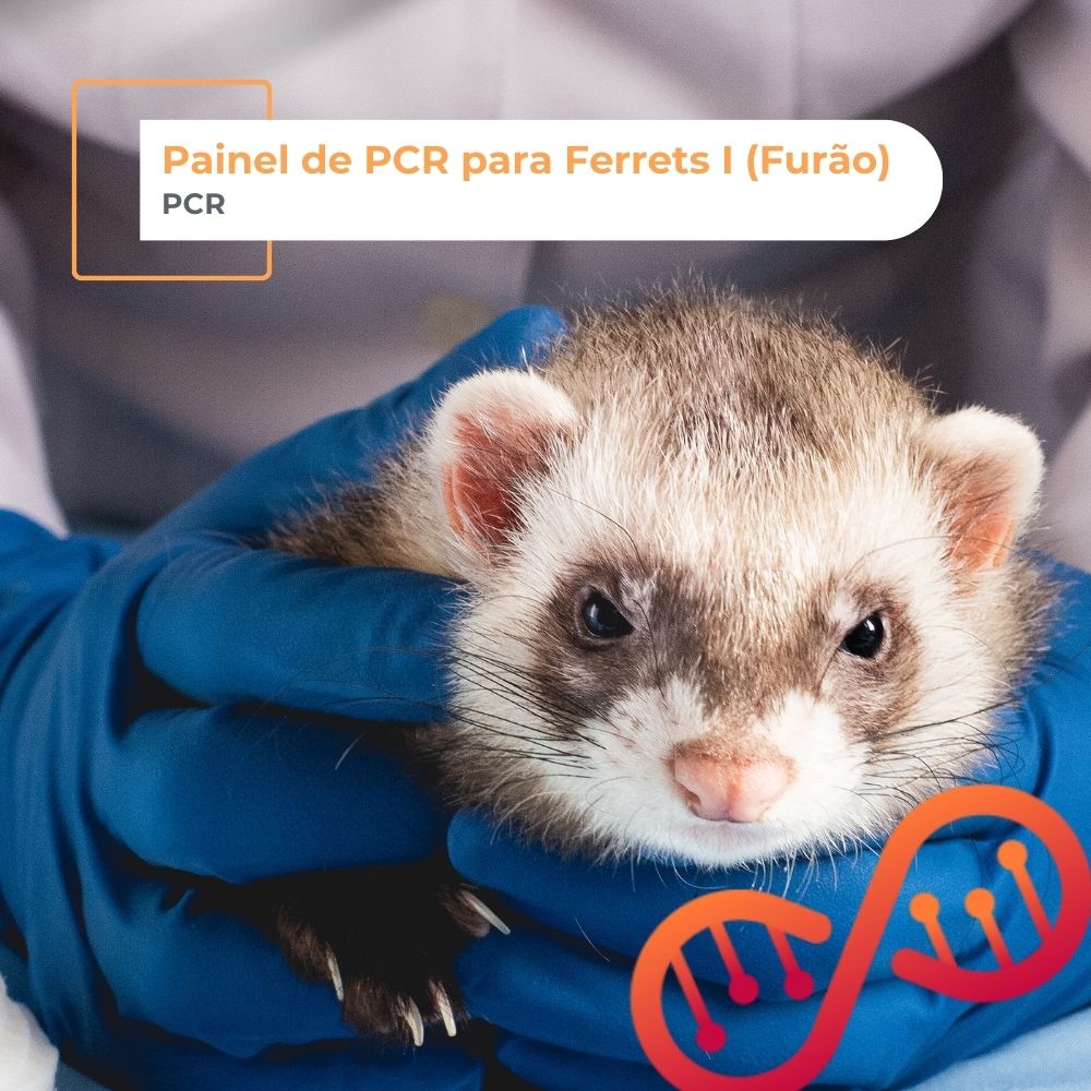 Painel de PCR para Ferrets I