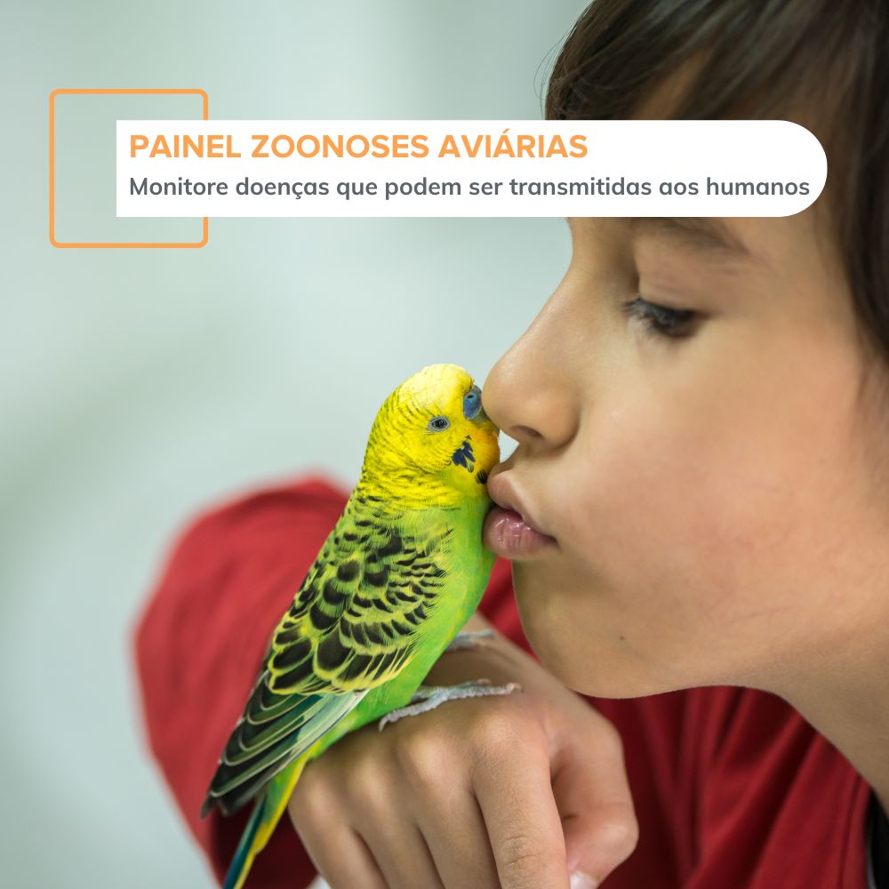 Painel Zoonoses Aviárias