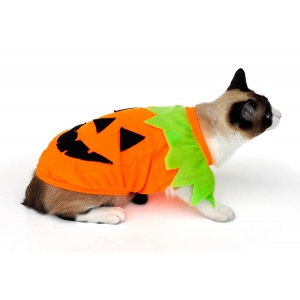 Camiseta Abóbora Halloween para Cachorro e Gato Pet