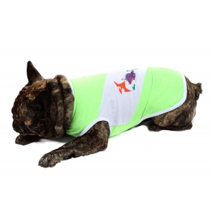 Camiseta Dinossauro para Cachorro e Gato Pet