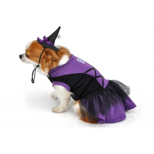 Vestido Bruxinha Halloween para Cachorro e Gato Pet
