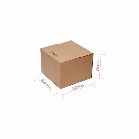 Caixa de Papelão para Transporte - 263 (Kit com 10 unidades)