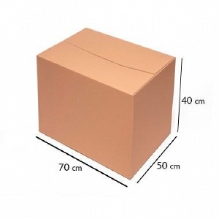 Caixa de Papelão para Transporte - 273 (Kit com 10 unidades)
