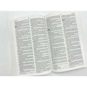 Nova Bíblia Viva - Cantares - Capa Dura