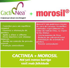 Morosil 500mg + Cactínea - 500 mg - Cápsulas