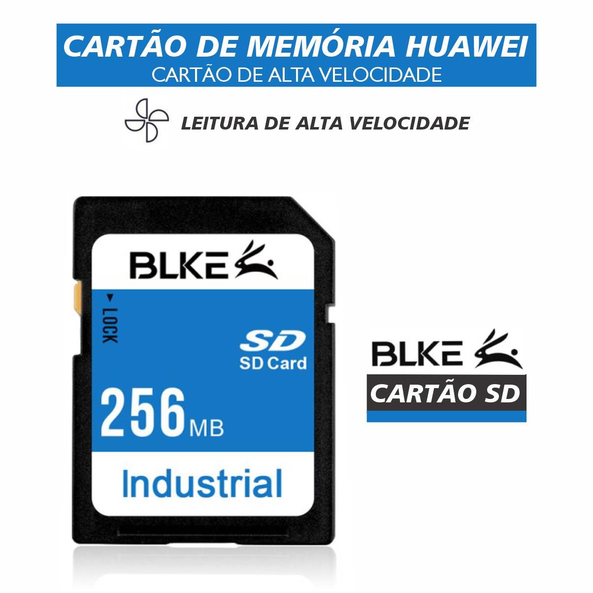 CARTÃO DE MEMÓRIA SD BLKE 256MB CL10