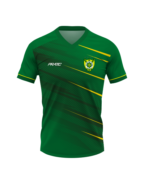 Camisa Picos Treino Gol I 2024 Pratic Sport
