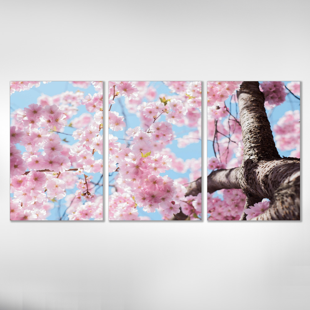 Kit Quadros Decorativos Cerejeira Sakura Flor